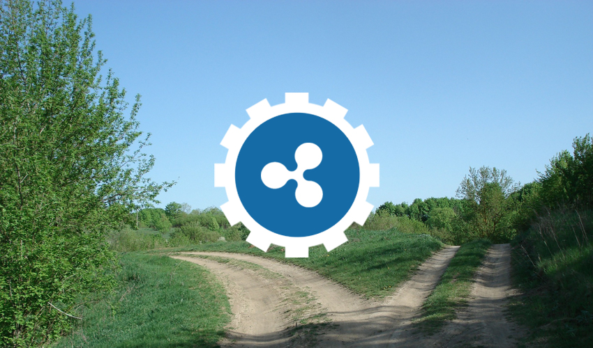 What’s Next for Ripple?