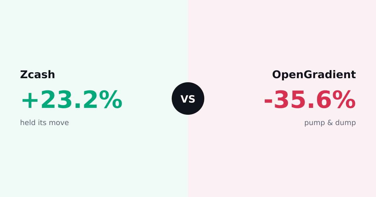 Zcash vs OpenGradient