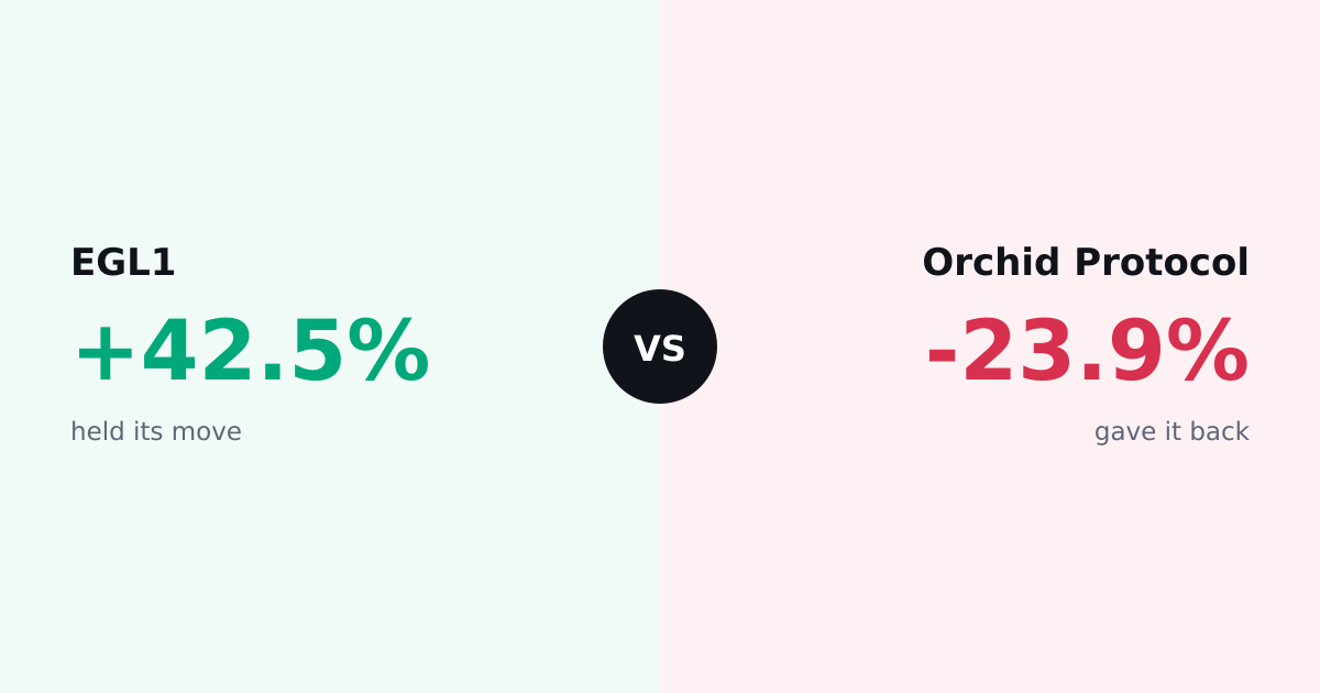 EGL1 vs Orchid Protocol