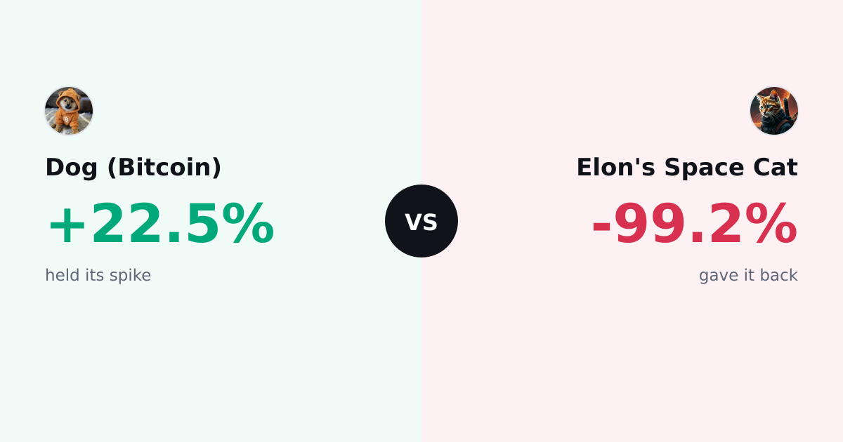 The Day The Market Split The Vote With Traders
